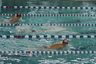 米兰体育app官网-中国游泳运动员世锦赛接力项目表现抢眼，中国游泳接力夺金