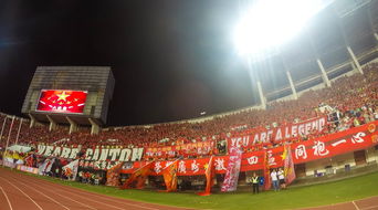 米兰体育官网登录入口-场馆设施翻新完成比赛场地改造计划推进，场馆设计方案