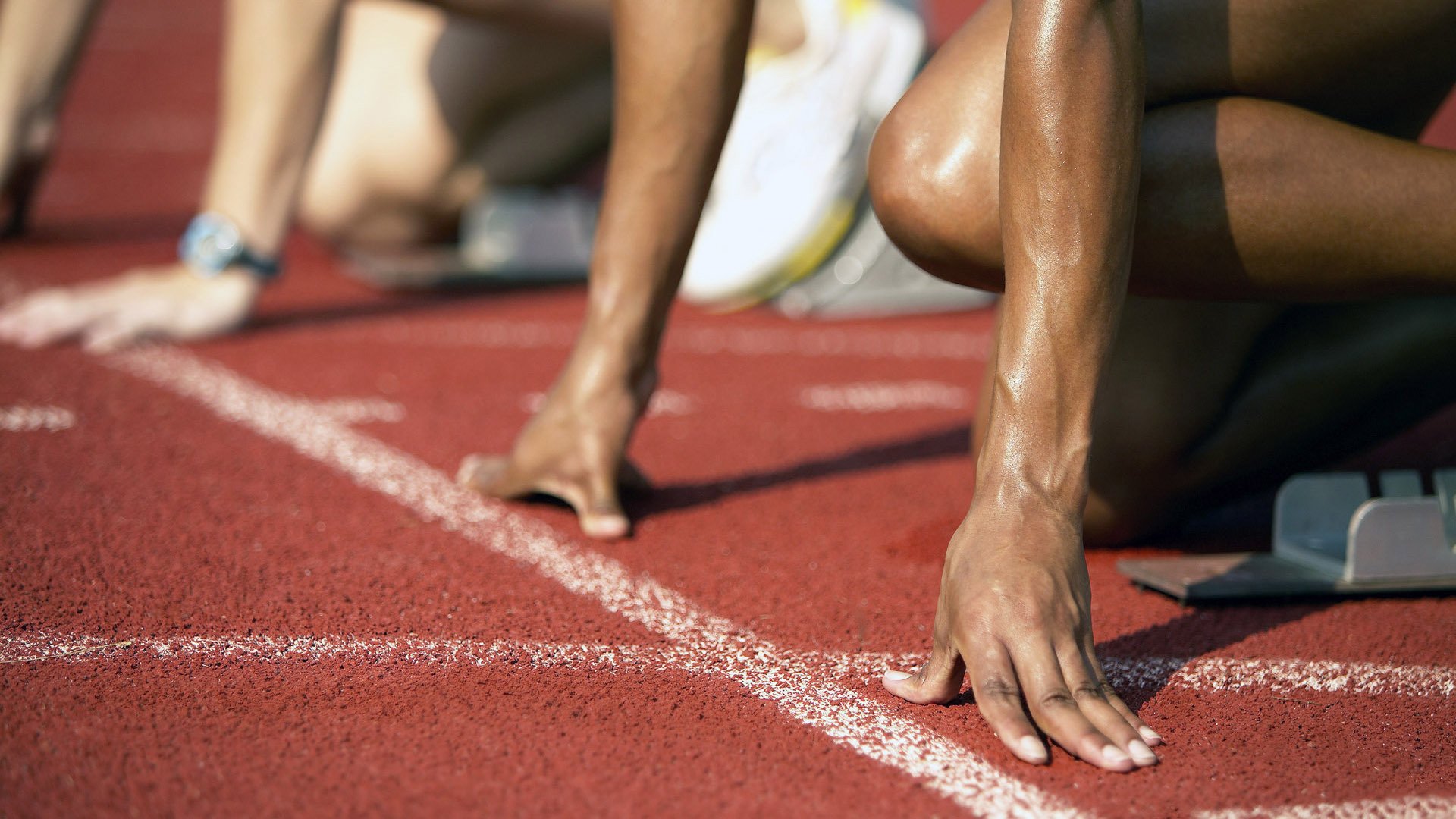 场馆设施翻新完成比赛场地改造计划推进，场馆设计方案