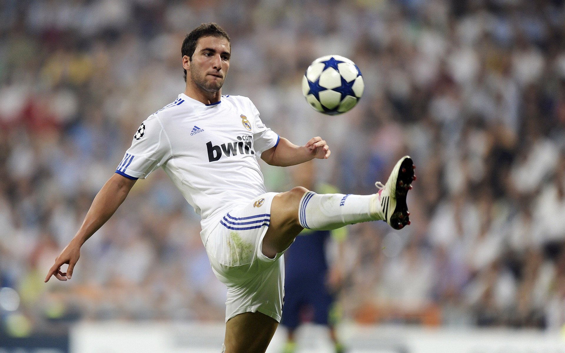 场馆设施翻新完成比赛场地改造计划推进，场馆设计方案